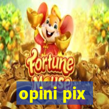 opini pix